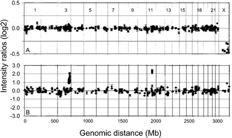 Array CGH analyses. A, array CGH analysis of a normal male sample... | Download Scientific Diagram