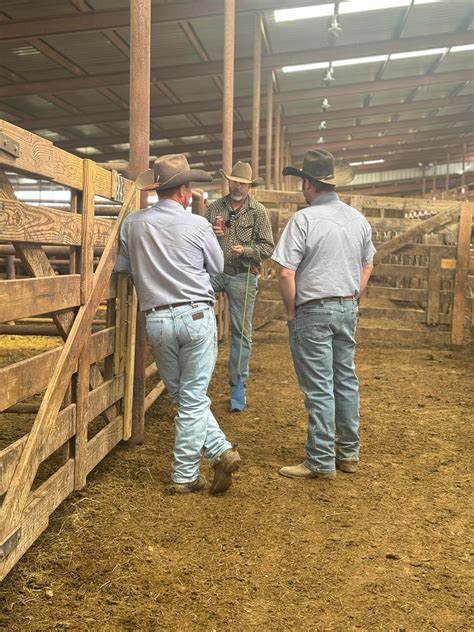 Coryell County Commission Company | Gatesville TX