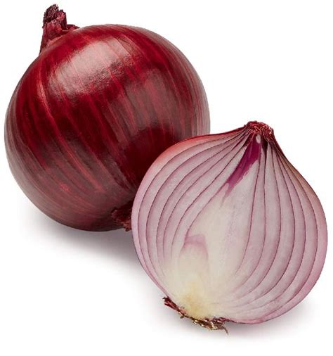 Oval Round Fresh Onion For Cooking Human Consumption Packaging Type