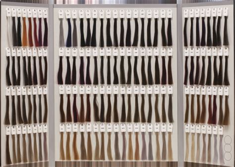 The Colours of Trinity | Biutli