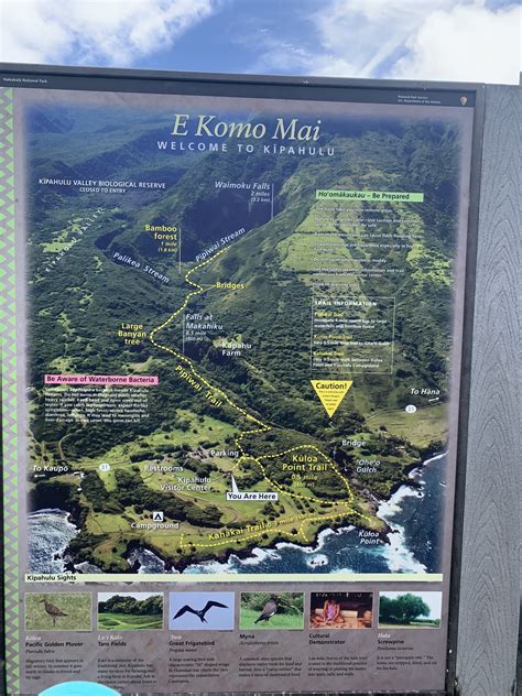 #1 Maui Hike with Kids: Pipiwai Trail and Bamboo Forest Hike (Haleakala