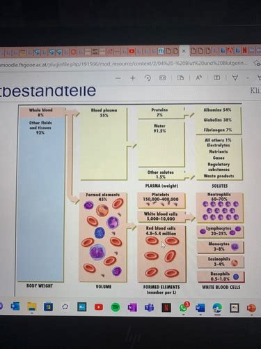 Blut Und Blutgerinnung Karteikarten Quizlet