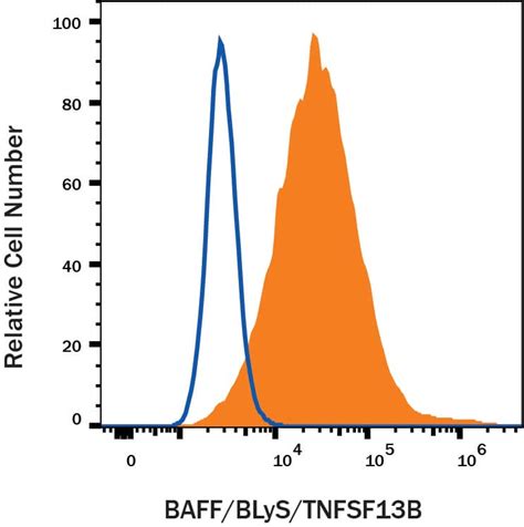 Human BAFF BLyS TNFSF13B PE Conjugated Antibody IC1241P R D Systems