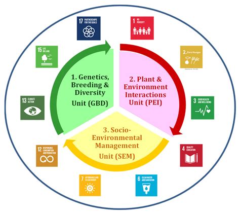 Sustainability Free Full Text Sustaining Forest Plantations For The