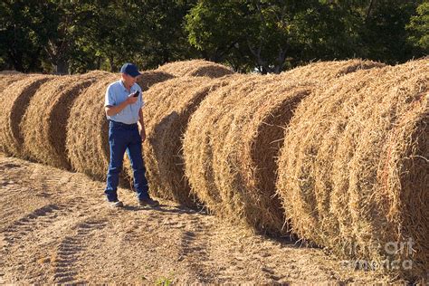 Farmer Photograph By Inga Spence Fine Art America