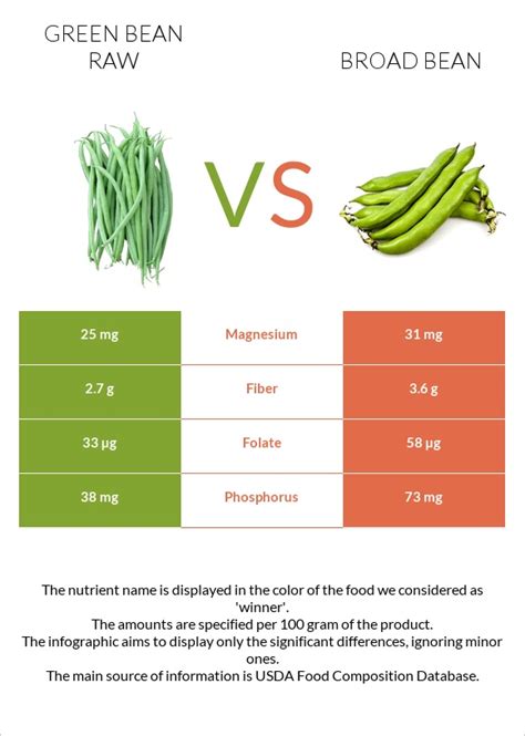 Green bean raw vs. Broad bean — In-Depth Nutrition Comparison