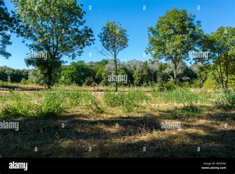 Paris France Landscape City Urban Park Gay Cruising Area Of Bois De Vincennes Stock Photo