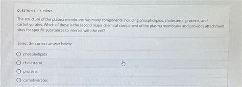 Solved QUESTION 6 - 1 ﻿POINTThe structure of the plasma | Chegg.com