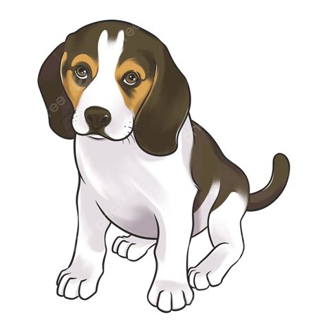 hand draw beagle puppies illustration beagle pet dog png transparent