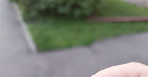 Фото с телефона | Пикабу