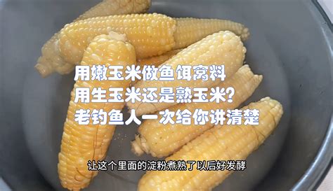 【天天钓鱼静哥鱼饵渔具】用嫩玉米做鱼饵窝料，用生玉米？熟玉米？老钓鱼人一次给你讲清楚 3千粉丝1千作品热议中生活视频 免费在线观看 爱奇艺