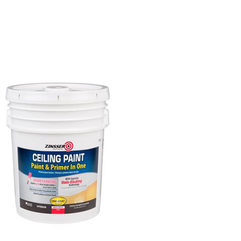 white 5 gallon paint 2