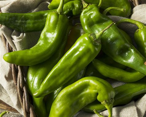 Mild Peppers to Grow – Sandia Seed Company