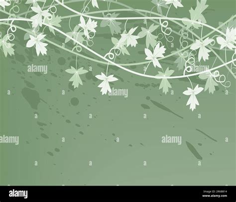 editable vector illustration   generic vine bush stock vector image