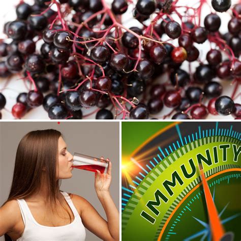 6 Elderberry Juices That Will Supercharge Your Immune System and ...