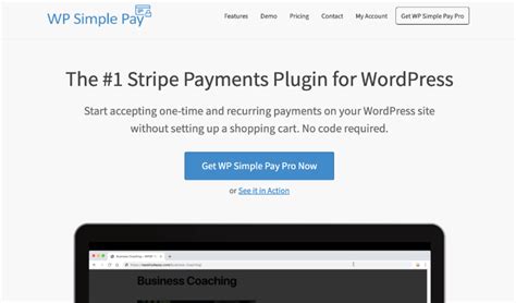 7 Best Wordpress Credit Card Payment Plugins For