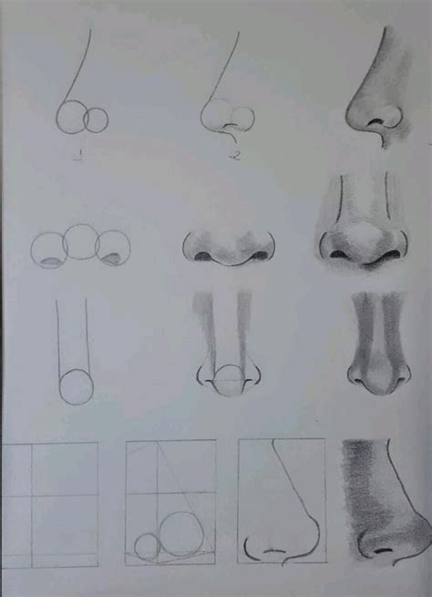 step by step drawing of nose 1