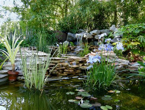 Background Water Garden