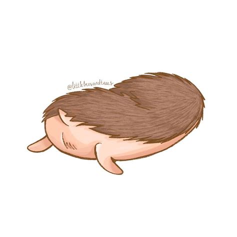 I Drew A Little Hedgy