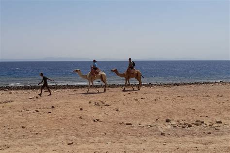 Tripadvisor Journée complète privée à Dahab depuis Taba Snorkel et