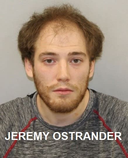 Three Big Rapids Men Arrested During Sex Trafficking Sting