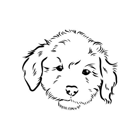 Premium Vector | Labradoodle Mix dog vector isolated illustration on