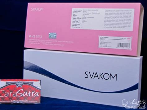 SVAKOM Nymph Vibrator Review