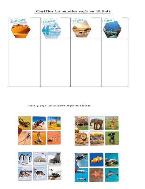 Animales Y Su Habitat Ficha Interactiva Clasificacion De Animales