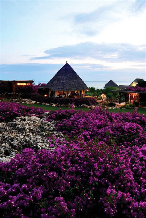 Zanzibar Package Holidays | Planning Your Trip to Zanzibar Now