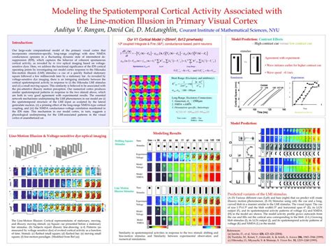 PPT - Modeling the Spatiotemporal Cortical Activity Associated with ...