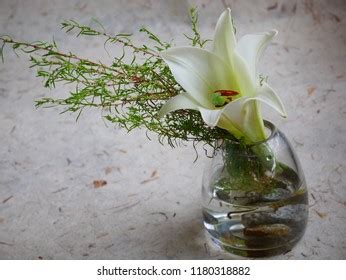 Lily Flower Arrangement Stock Photo (Edit Now) 1180318882