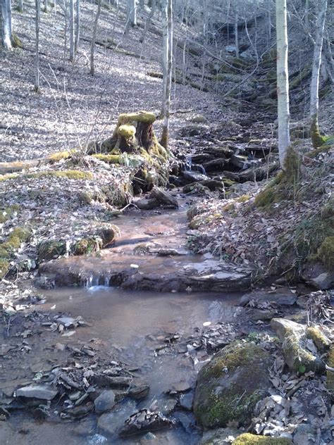 Property For Sale Wv