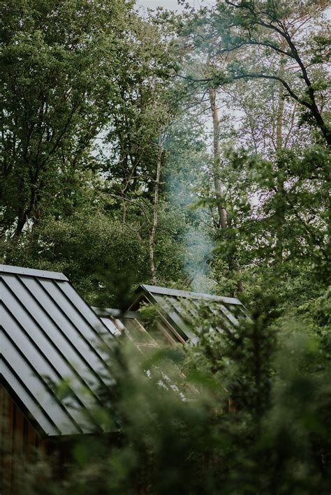 5x Romantisch Overnachten In Het Bos Honeyguide