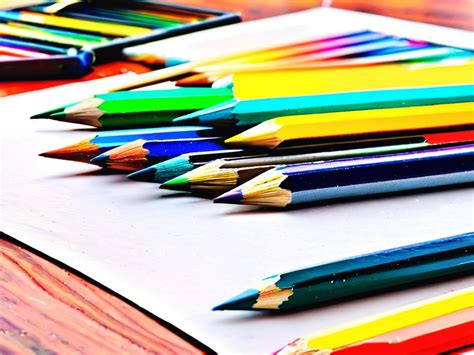 Как нарисовать черепаху: легкий гайд для начинающих художников