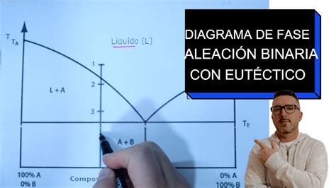 Diagrama De Fases Aleaci N Binaria Con Eut Ctico Youtube