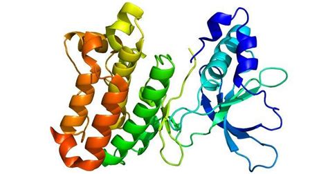 Bioquimica Enem - Bioquímica - Biologia Enem | Educa Mais Brasil