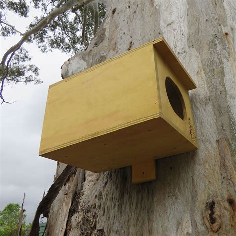 Kookaburra Box FauNature