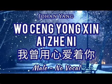 Wo Ceng Yong Xin Ai Zhe Ni 我曾用心爱着你 Male Key No Vocal Chords Chordify