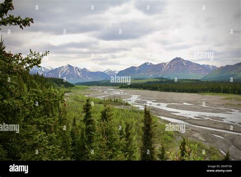 Denali National Park Stock Photo Alamy