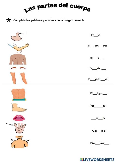 Las Partes Del Cuerpo Worksheet Online Wiseworksheets Bilarasa