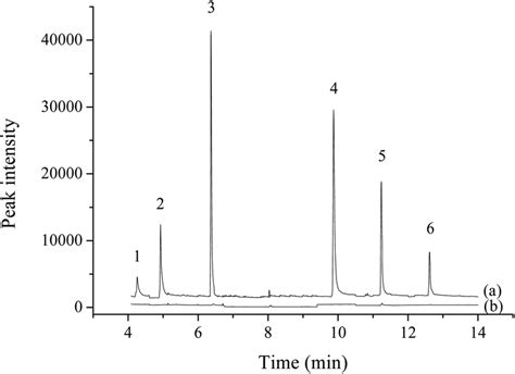 Gc Ms Sim Chromatograms Of Spiked And Unspiked Water Sample Solution