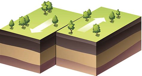 370 Earthquake Fault Lines Stock Illustrations Royalty Free Vector