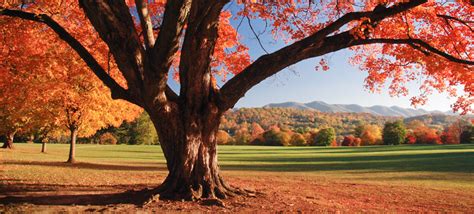 loans  home car  elizabethton mountain city tn