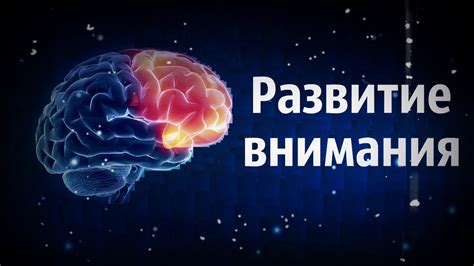 Развитие внимания (концентрация)\ Развитие памяти - YouTube
