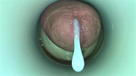 Fleshlight Blowjob With Two Fleshlights Gay Massage Porn Feat Incarnate XHamster