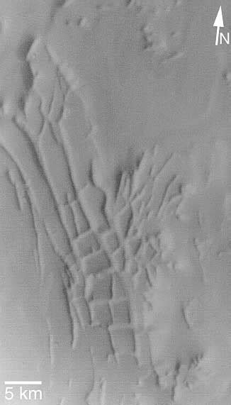 Candid Tight Ass 51 20 04 21 08 01 38 IMGSRC RU