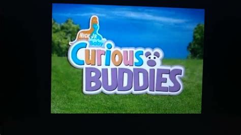 Happy 18th Anniversary Of Curious Buddies 08 31 2022 Youtube