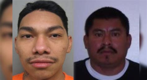RGV Agents Arrest Four Sex Offenders And A Gang Member Texas Border Business