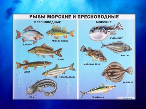 Требования ГОСТа к рыбе - презентация онлайн