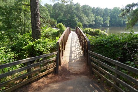 bridgewalkwaypathwayparkwalkway bridge  image  needpixcom